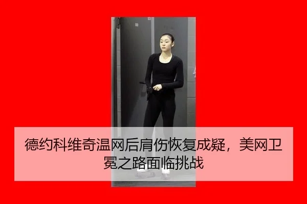 de-yue-ke-wei-qi-wen-wang-hou-jian-shang-hui-fu-cheng-yi-mei-wang-wei-mian-zhi-lu-mian-lin-tiao-zhan-2-505.jpg