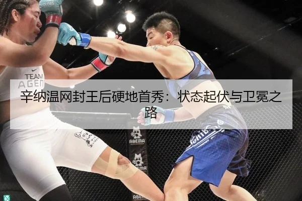 xin-na-wen-wang-feng-wang-hou-ying-di-shou-xiu-zhuang-tai-qi-fu-yu-wei-mian-zhi-lu-3-462.jpg